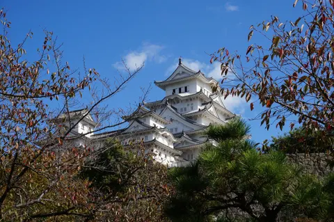 Japan, Osaka, 2019