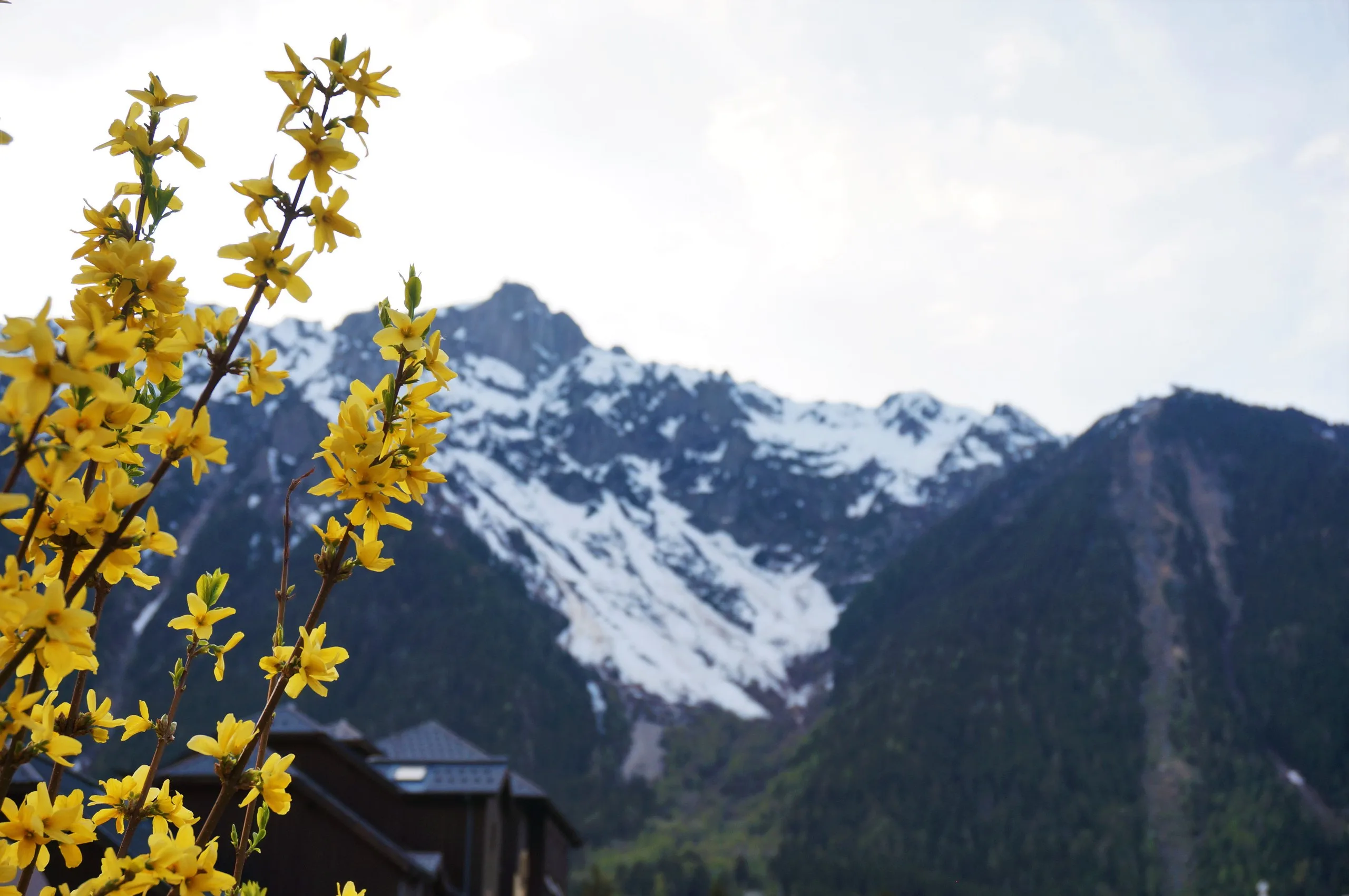 France, Chamonix, 2018