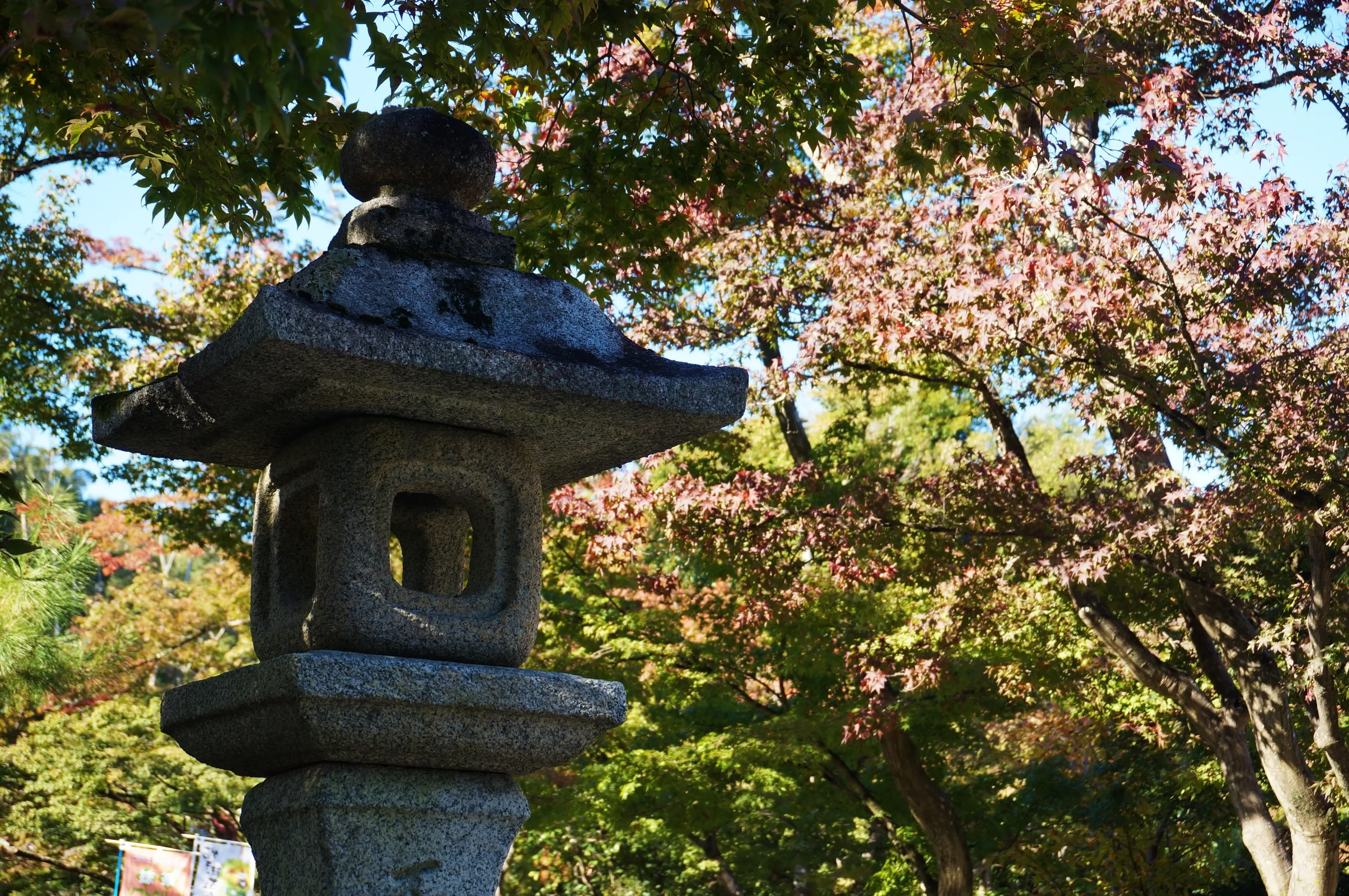 Japan, Kyoto, 2019