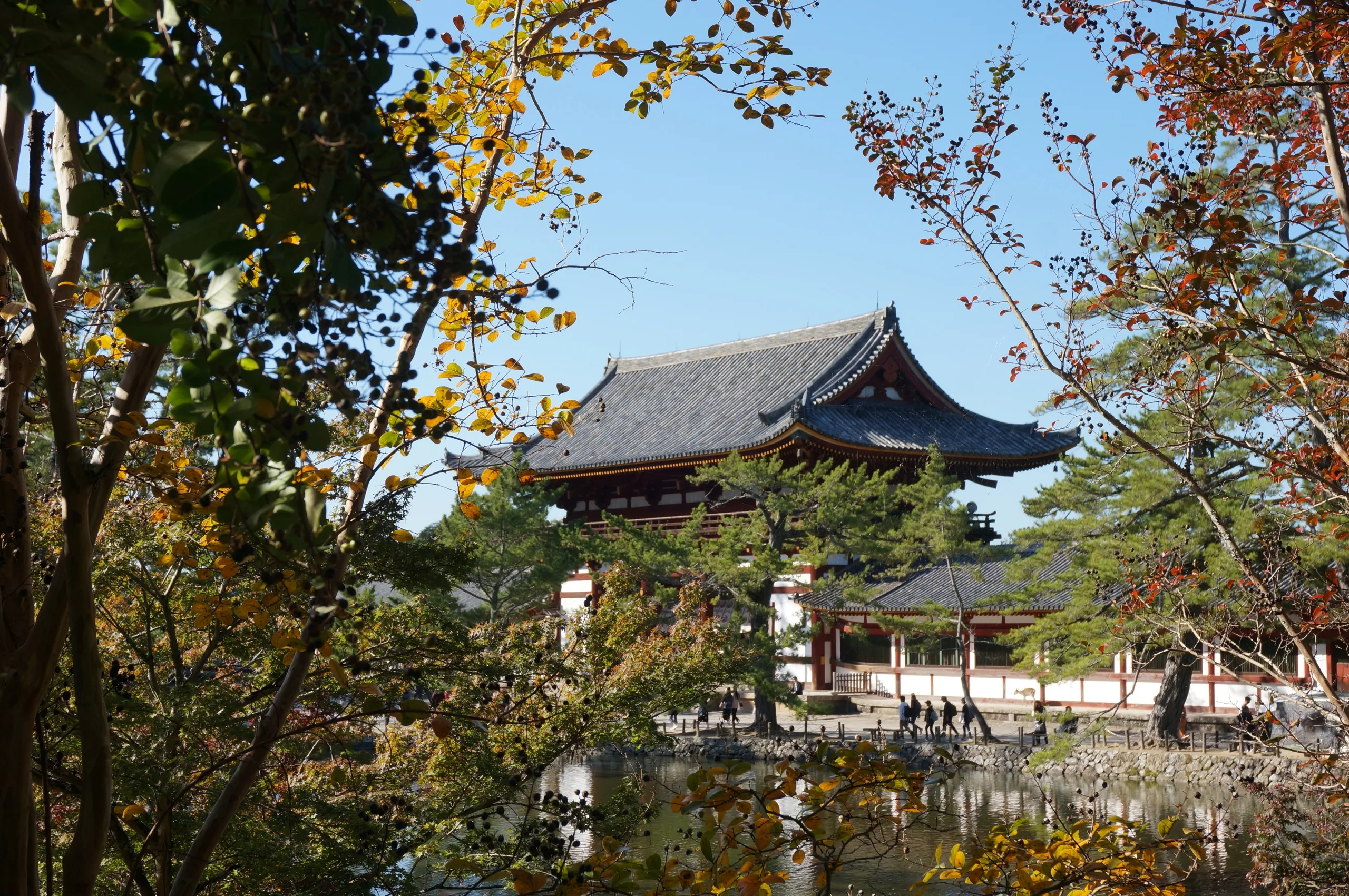 Japan, Nara, 2019