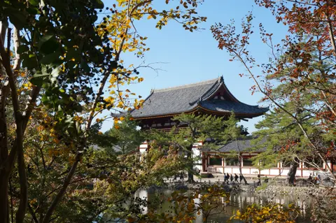 Japan, Nara, 2019