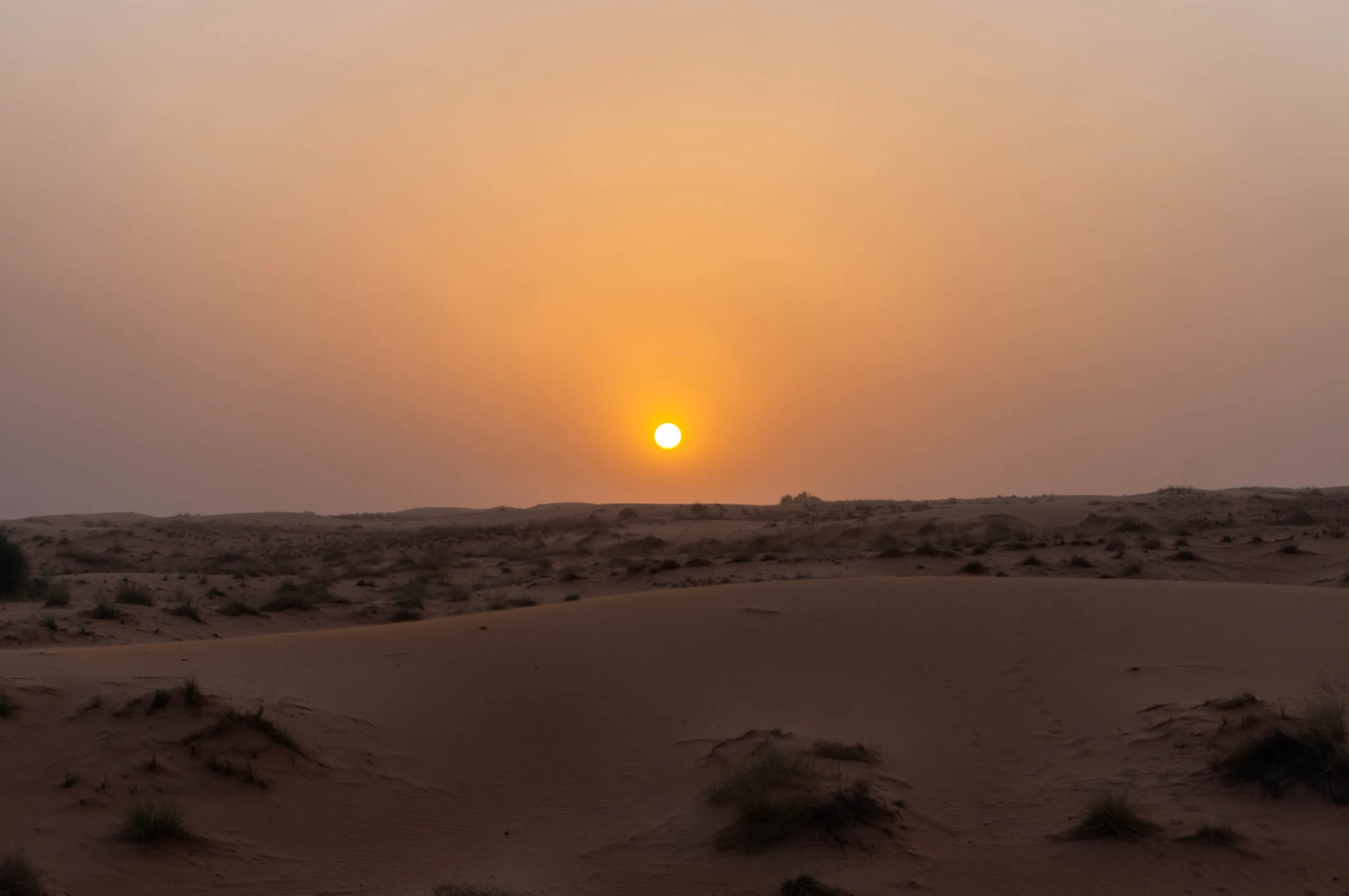 United Arab Emirates, Dubai, 2024