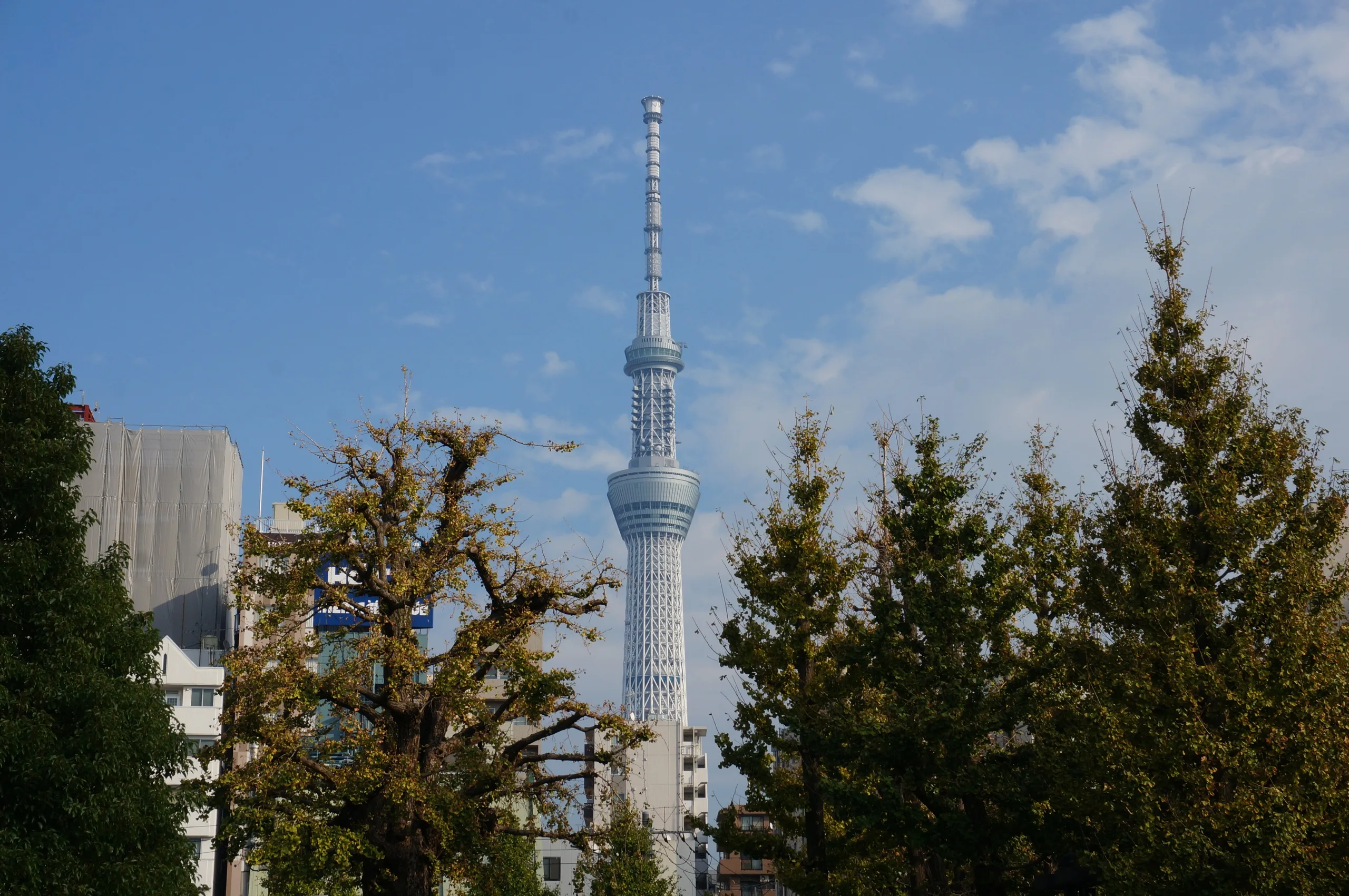 Japan, Tokyo, 2019
