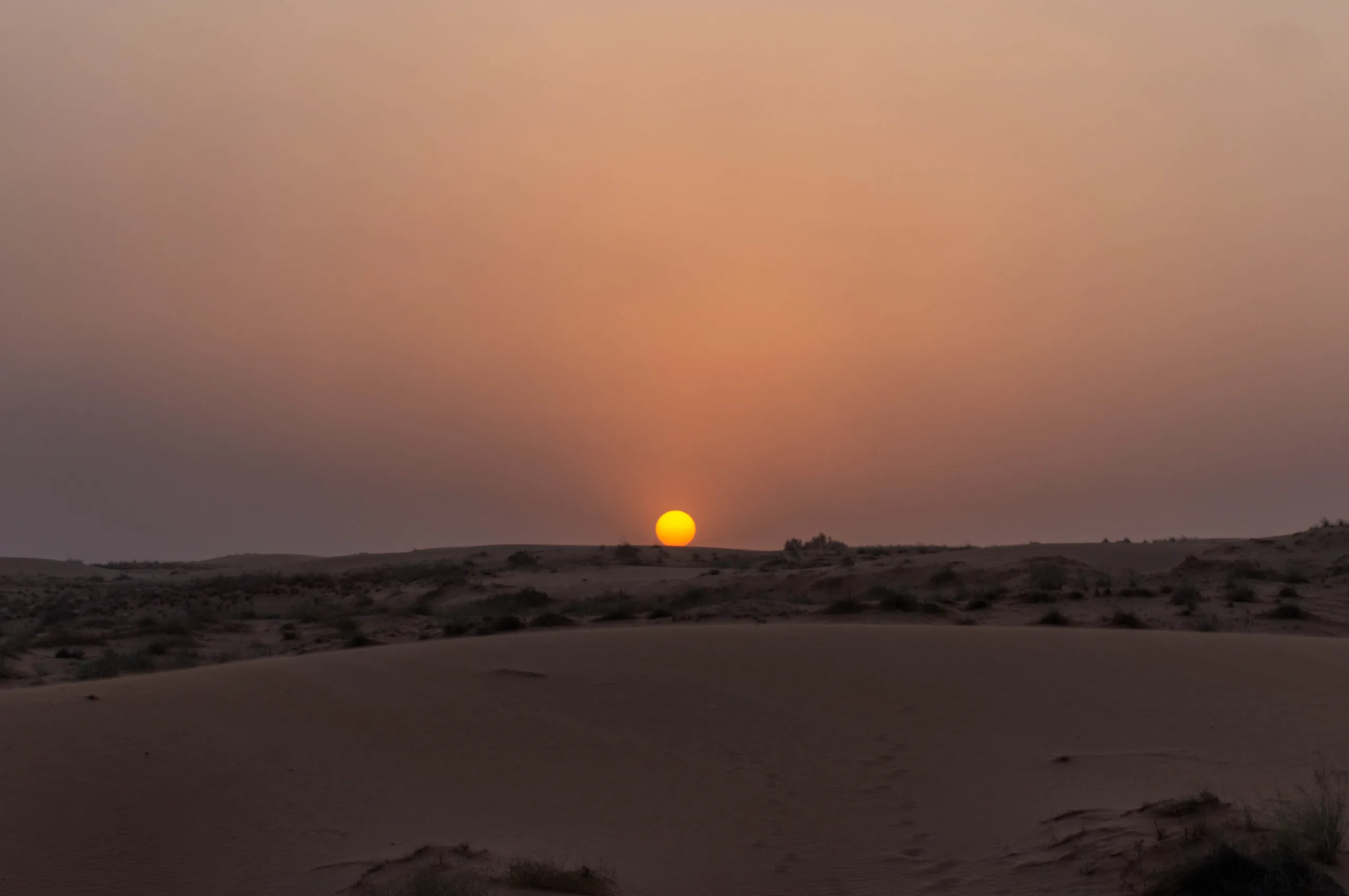 United Arab Emirates, Dubai, 2024