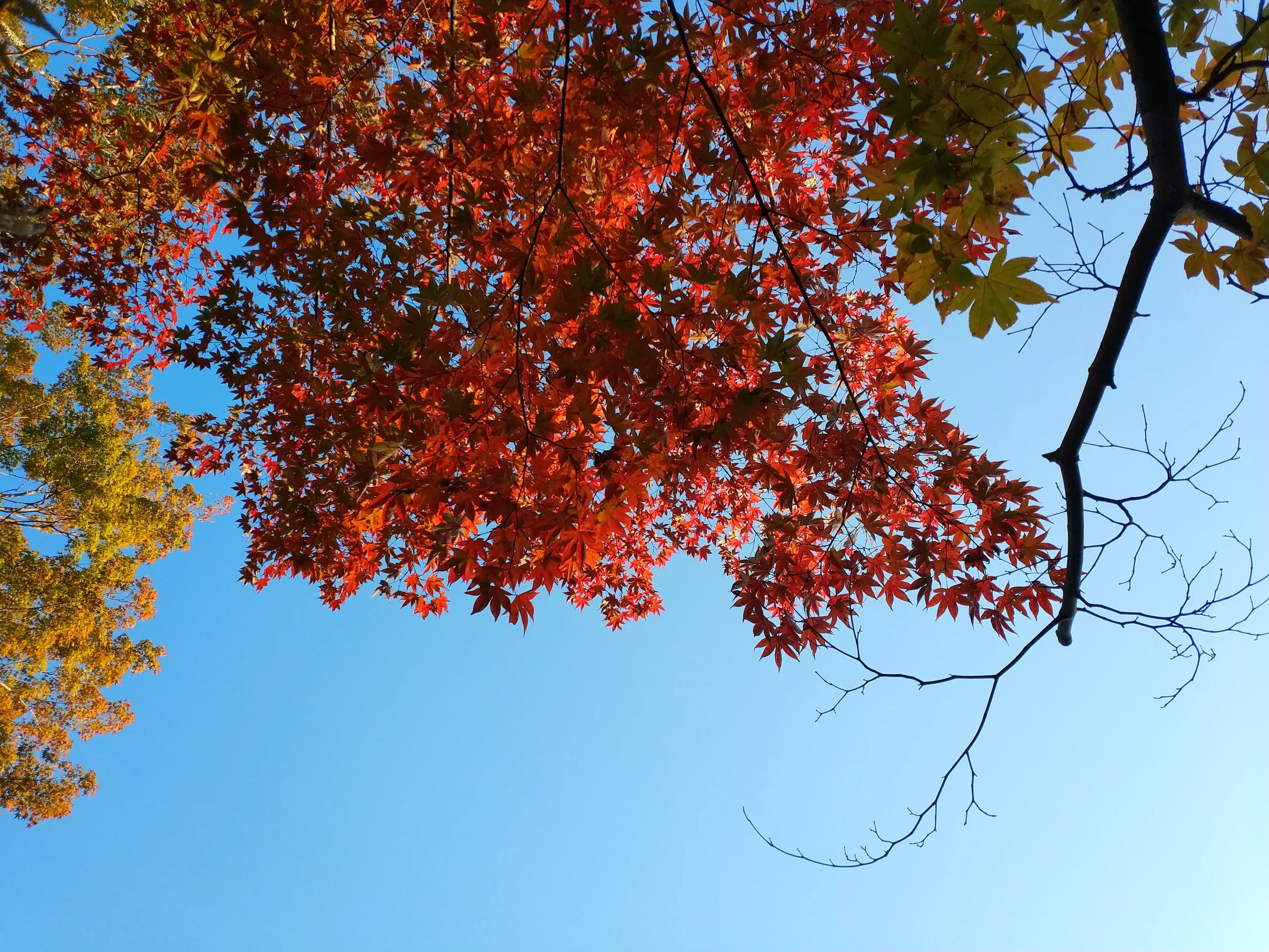 Japan, Kyoto, 2019