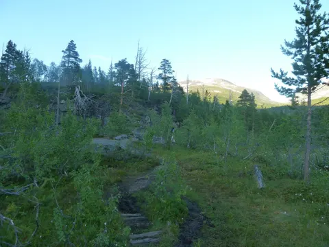 Norway, Jotunheimen, 2015