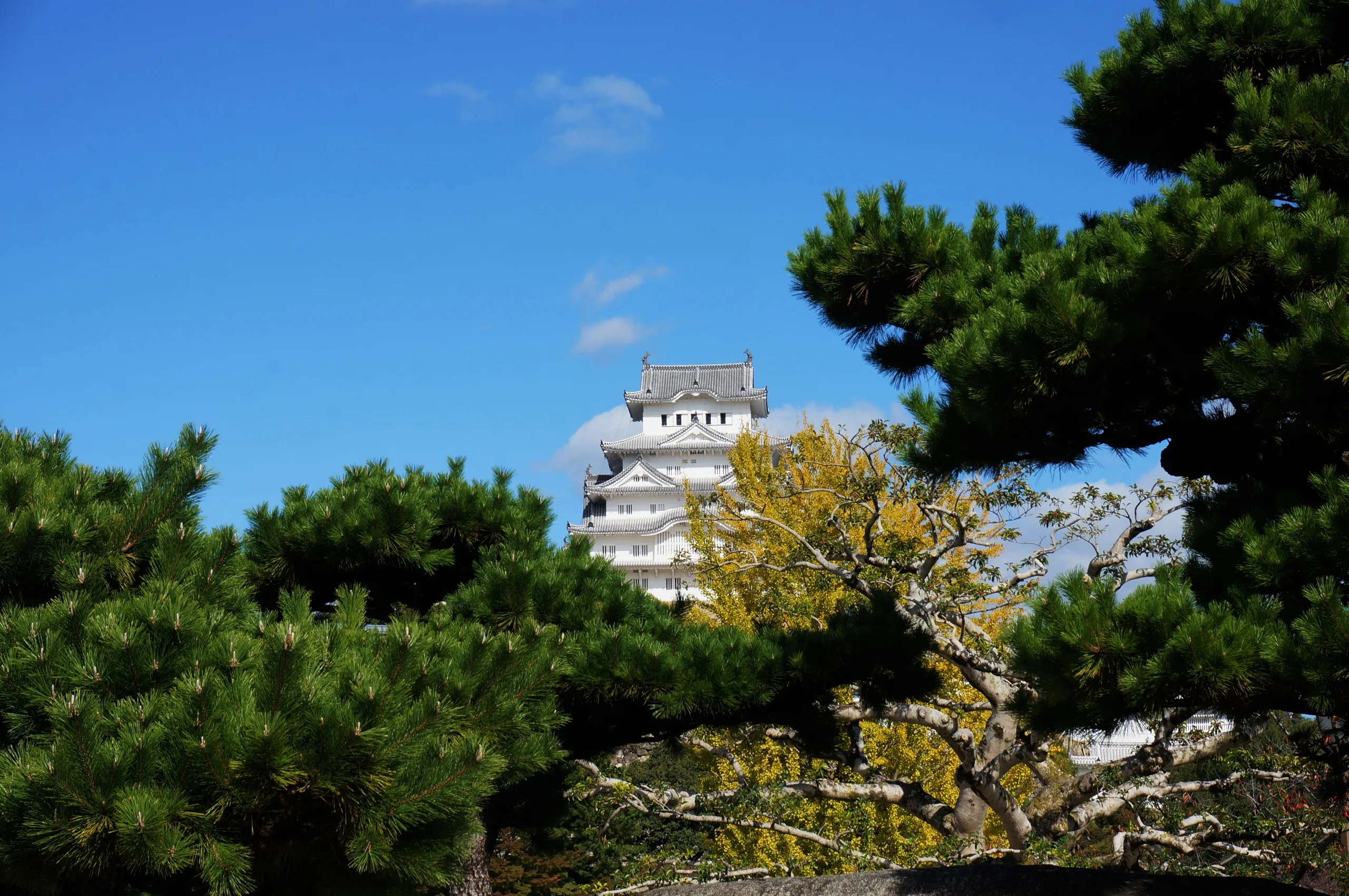 Japan, Himeji, 2019