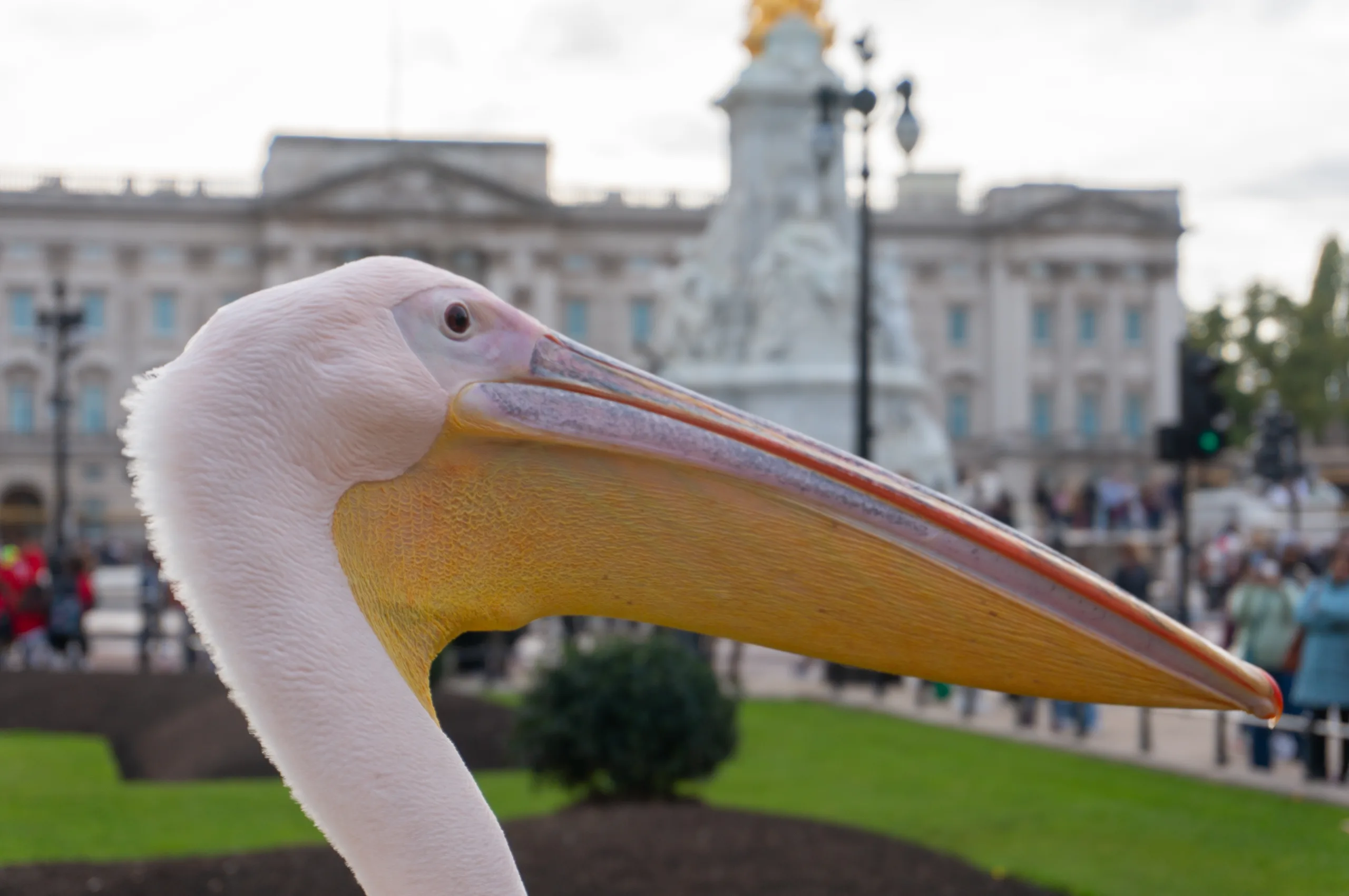 United Kingdom, London, 2022