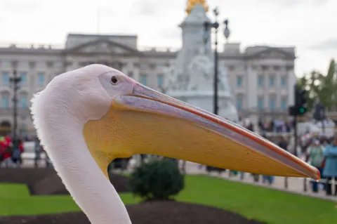 United Kingdom, London, 2022