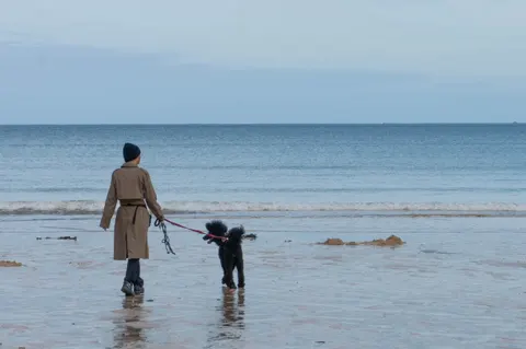 United Kingdom, Cornwall, 2025