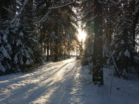 Russia, Komarovo, 2021