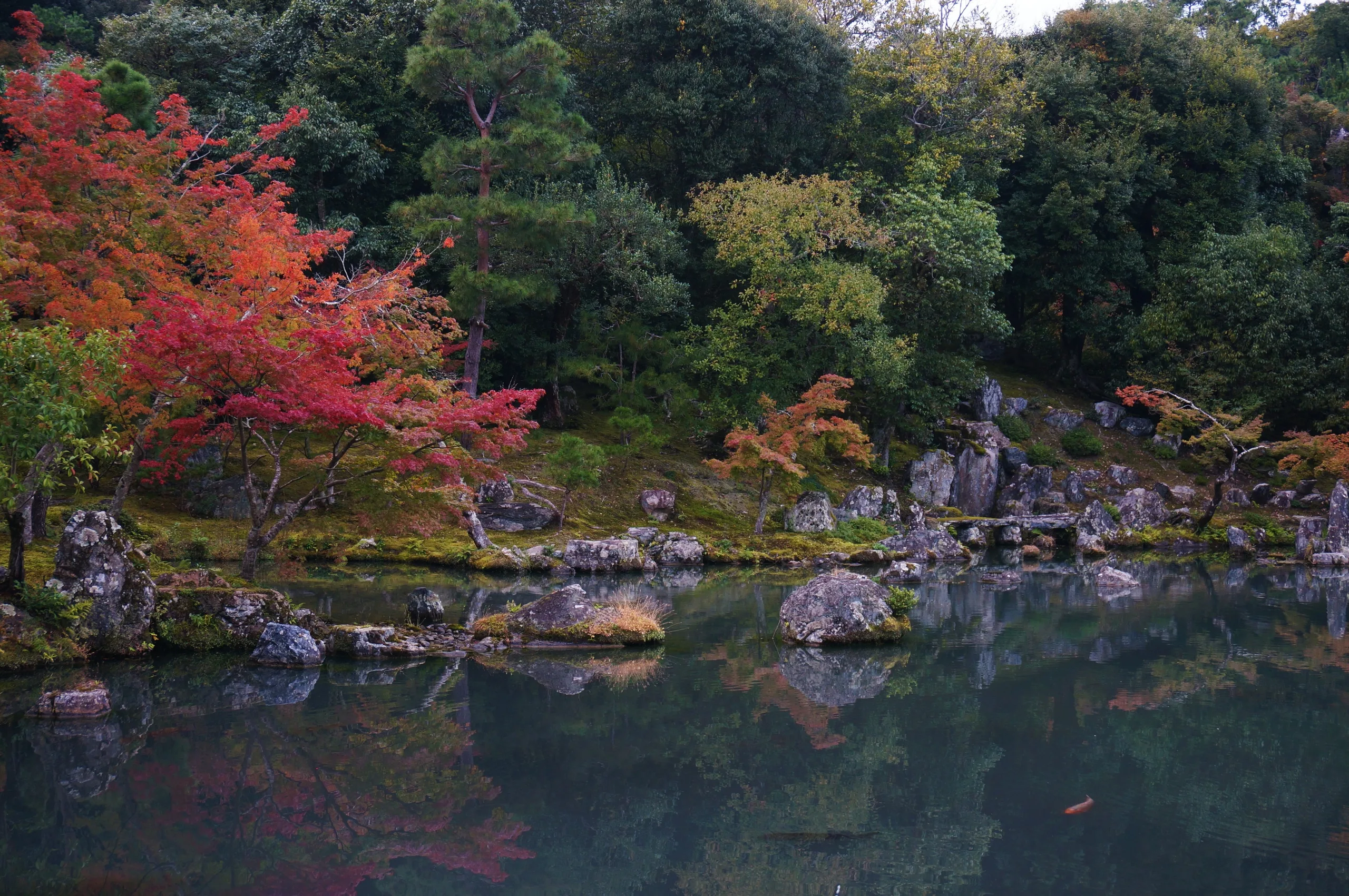 Japan, Kyoto, 2019