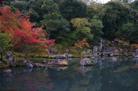 Japan, Kyoto, 2019