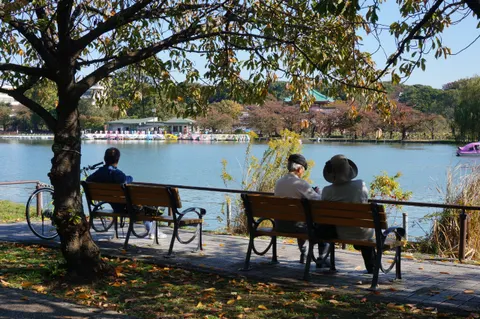 Japan, Tokyo, 2019