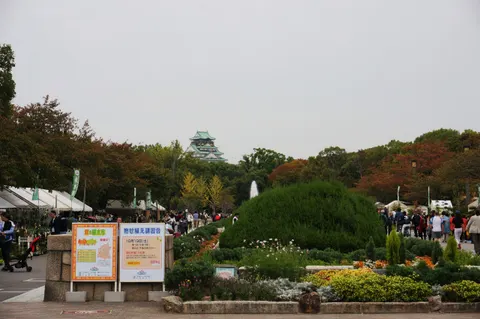 Japan, Osaka, 2019
