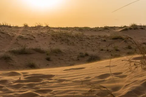 United Arab Emirates, Dubai, 2024