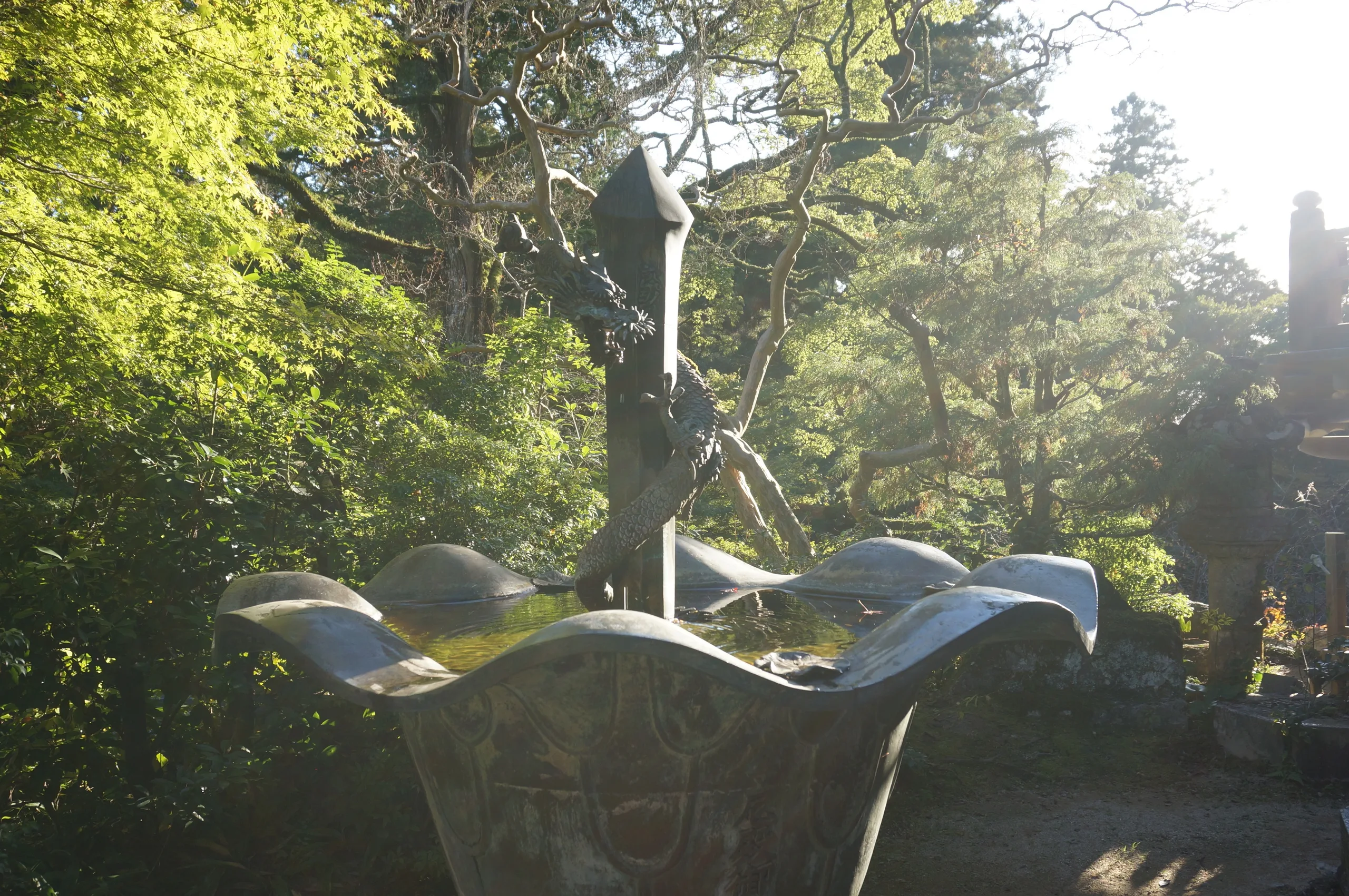 Japan, Nara, 2019