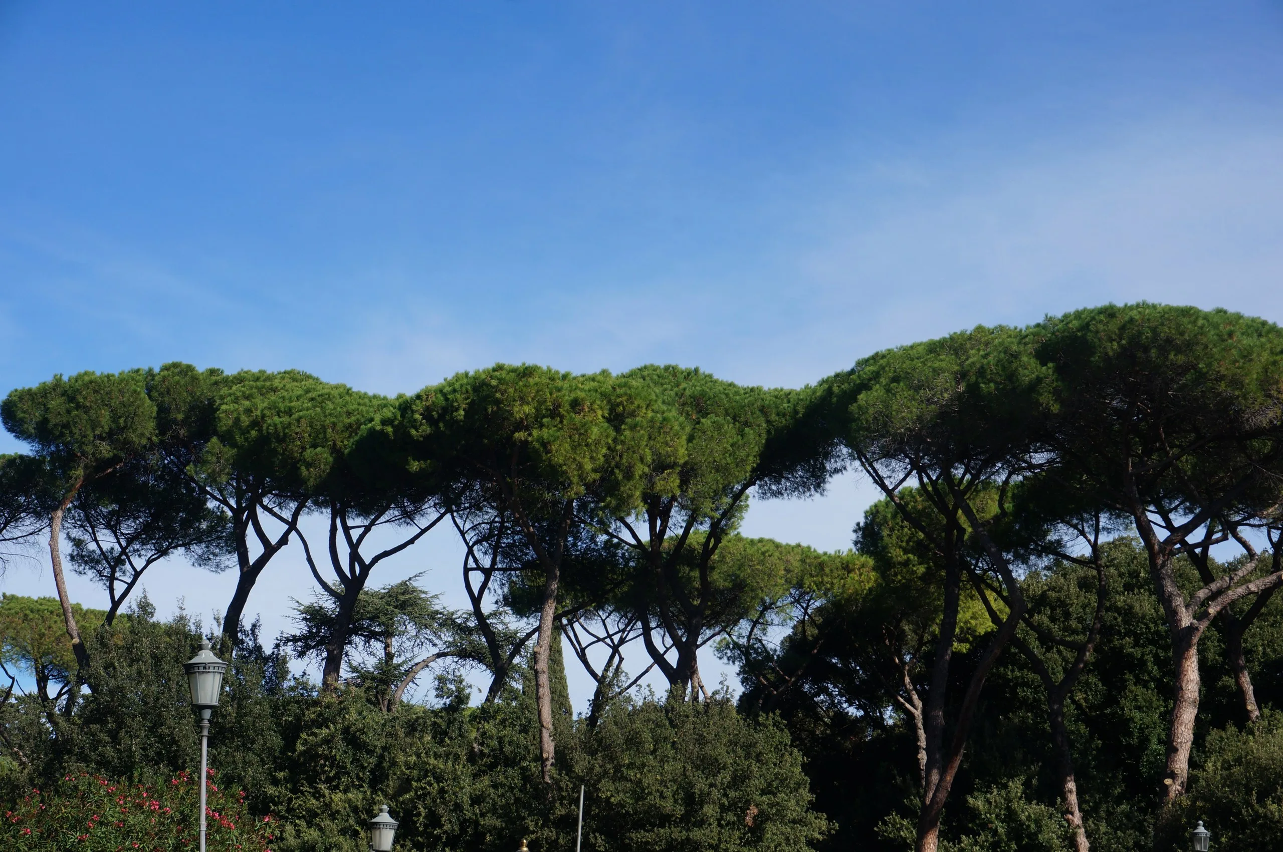 Italy, Rome, 2017