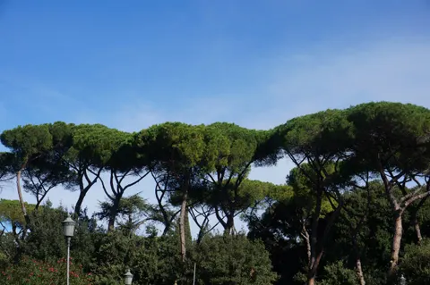 Italy, Rome, 2017