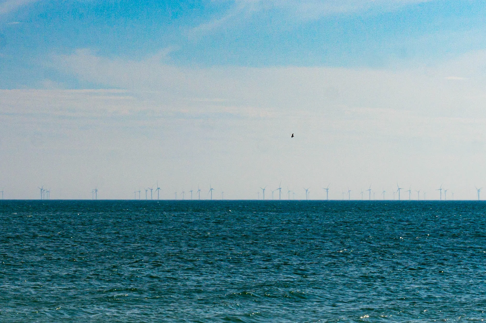 United Kingdom, Brighton, 2025