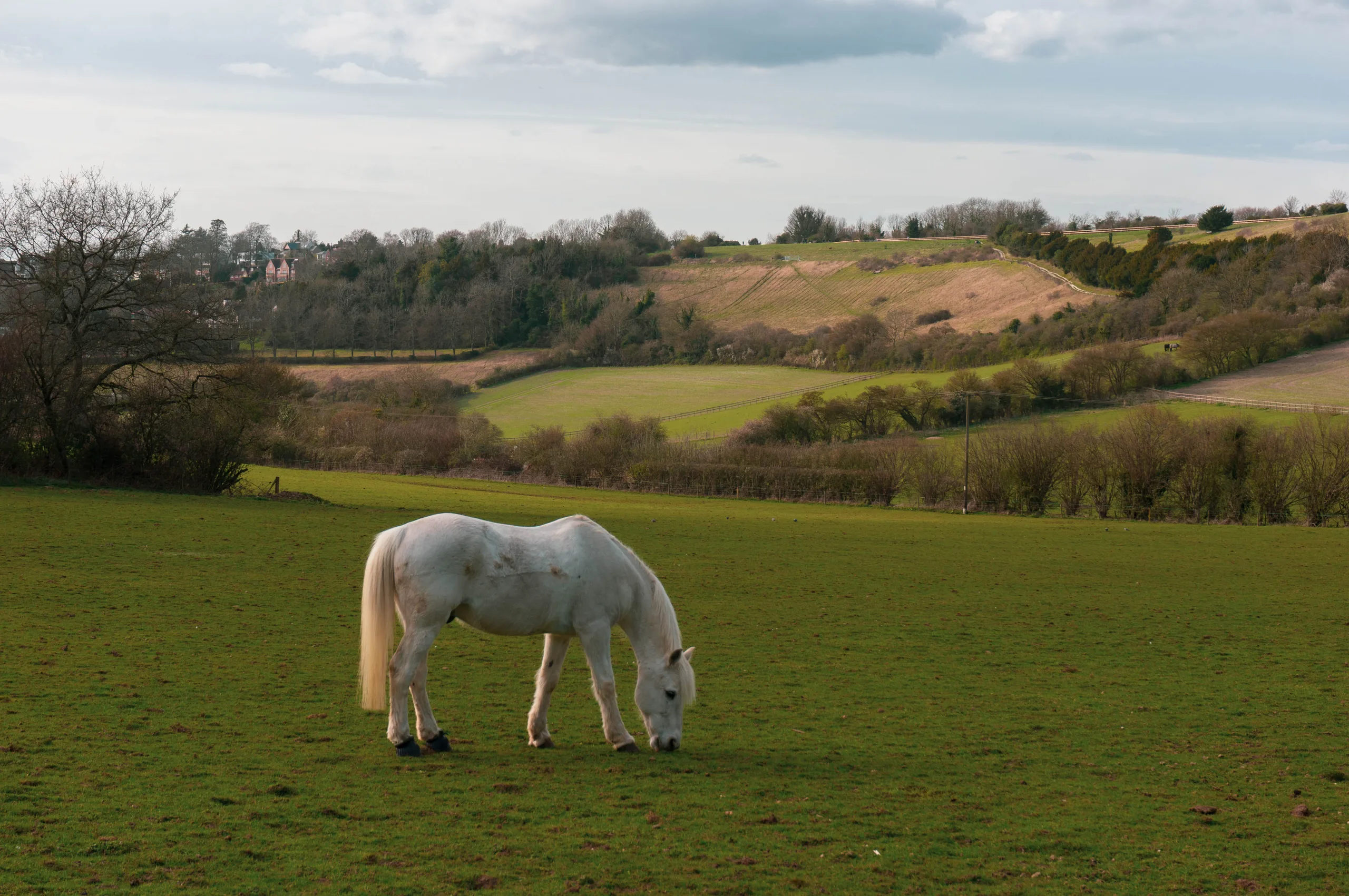 United Kingdom, Guildford, 2025