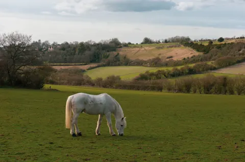 United Kingdom, Guildford, 2025