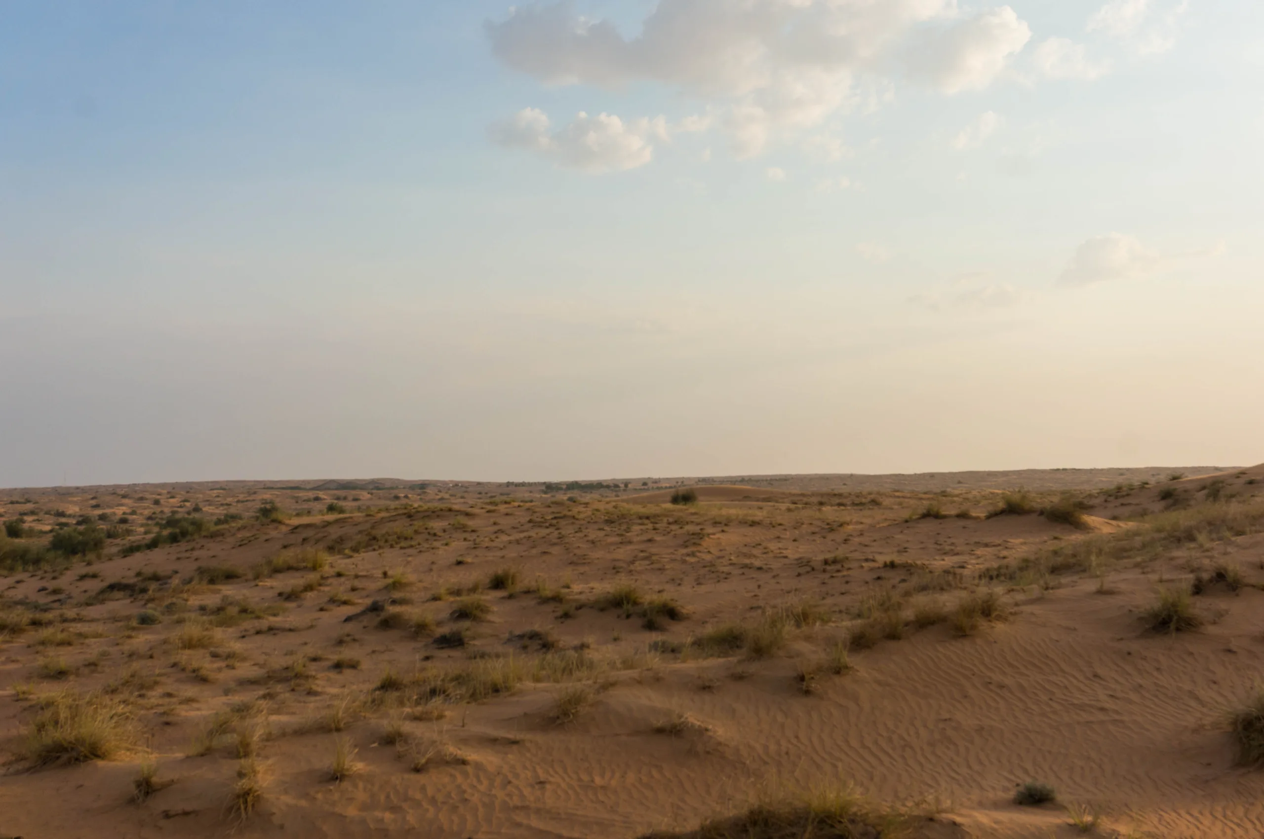 United Arab Emirates, Dubai, 2024