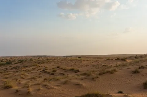 United Arab Emirates, Dubai, 2024