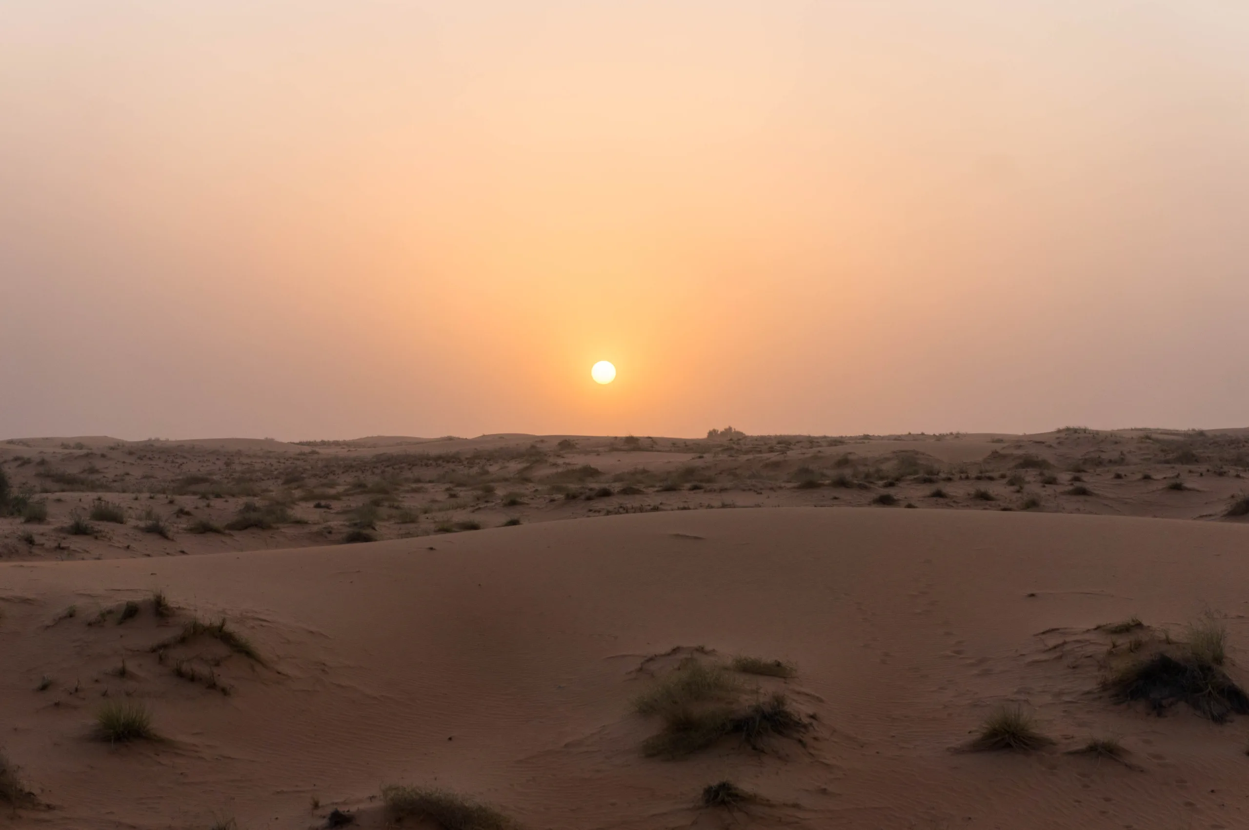 United Arab Emirates, Dubai, 2024