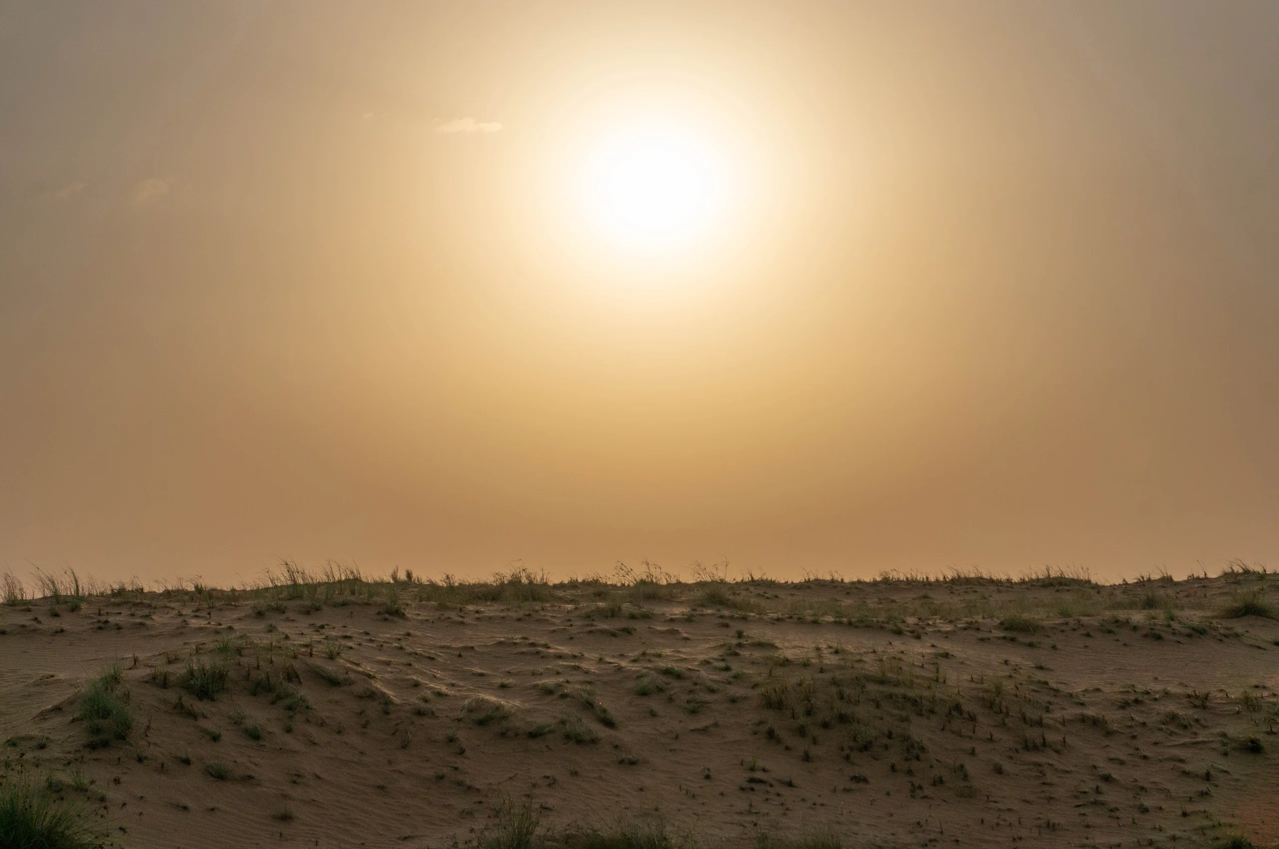 United Arab Emirates, Dubai, 2024