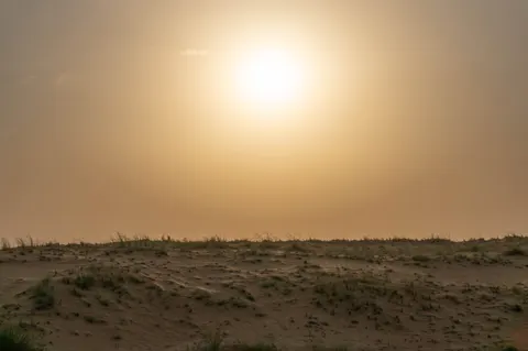 United Arab Emirates, Dubai, 2024