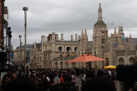 United Kingdom, Cambridge, 2026