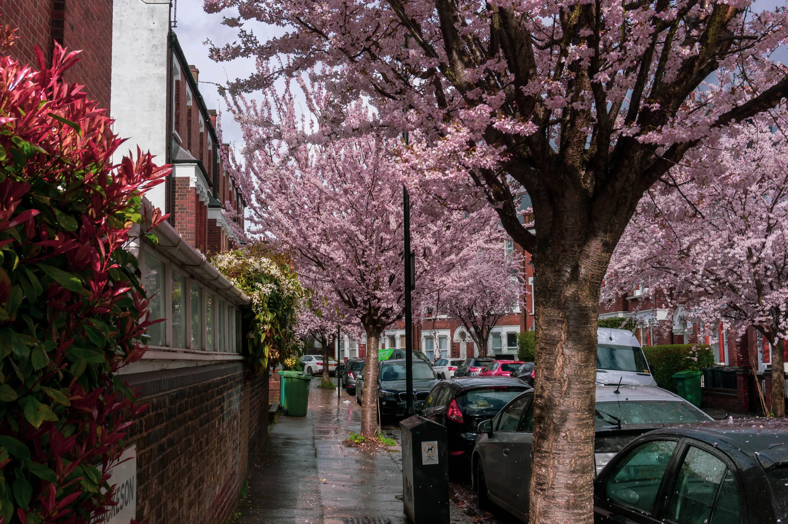 United Kingdom, London, 2023