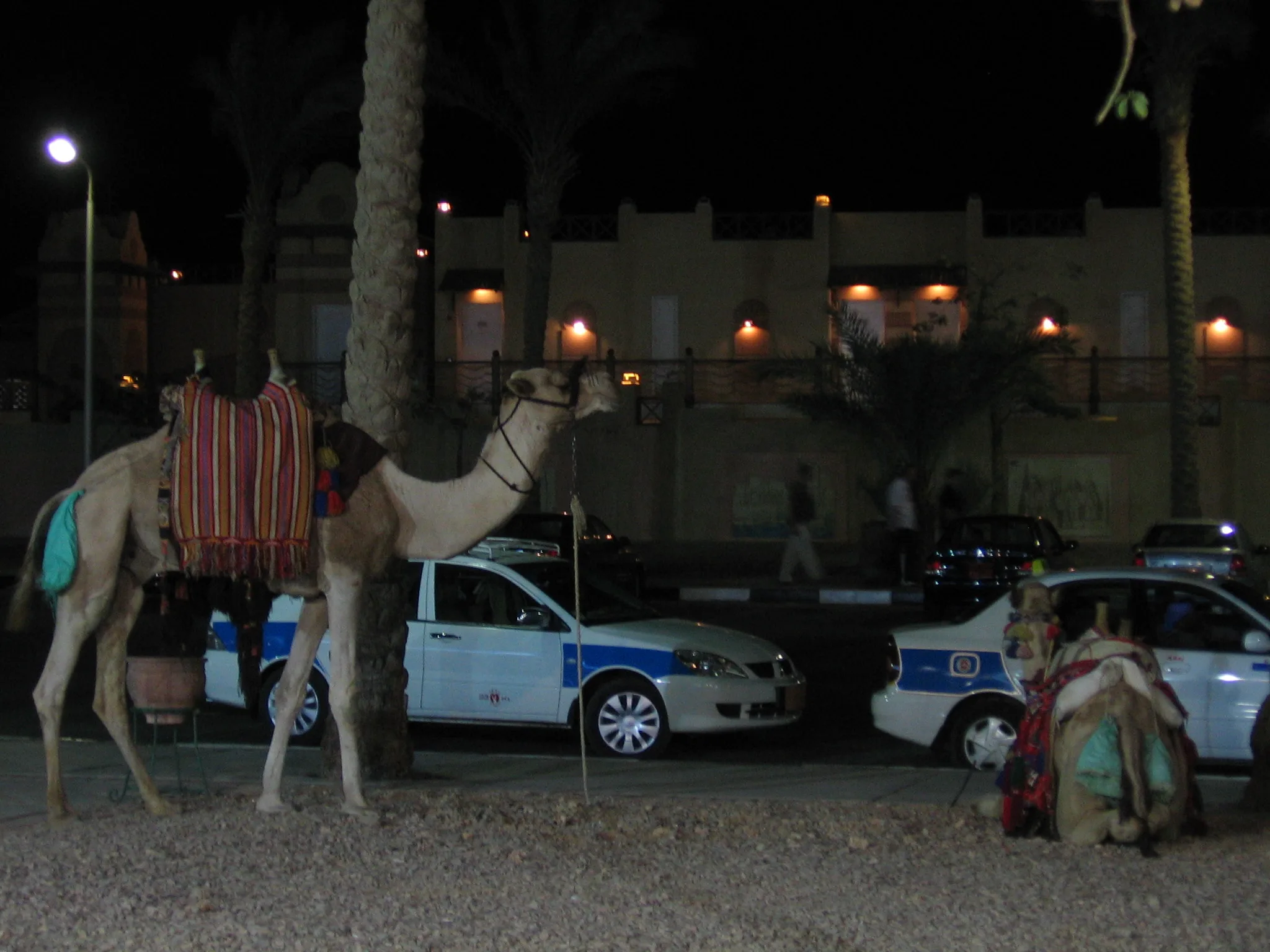Egypt, Sharm El Sheikh, 2010