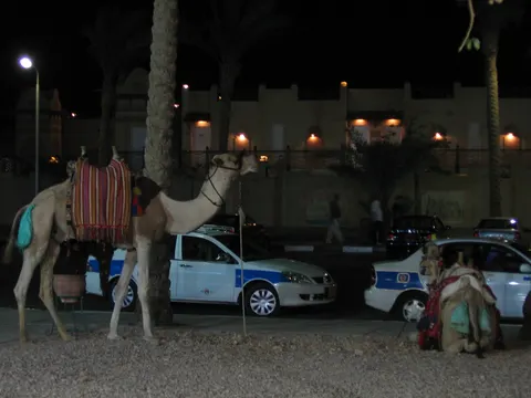 Egypt, Sharm El Sheikh, 2010