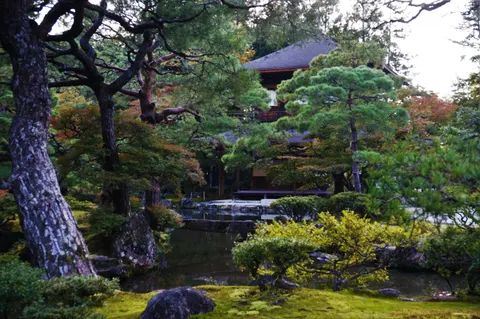 Japan, Kyoto, 2019