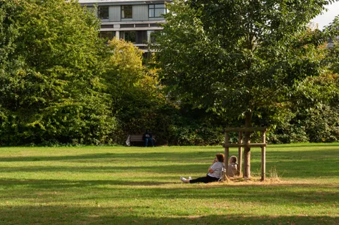 United Kingdom, Cambridge, 2026