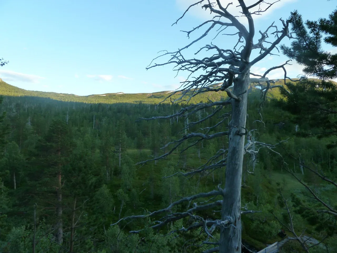Norway, Jotunheimen, 2015