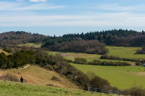 United Kingdom, Guildford, 2025