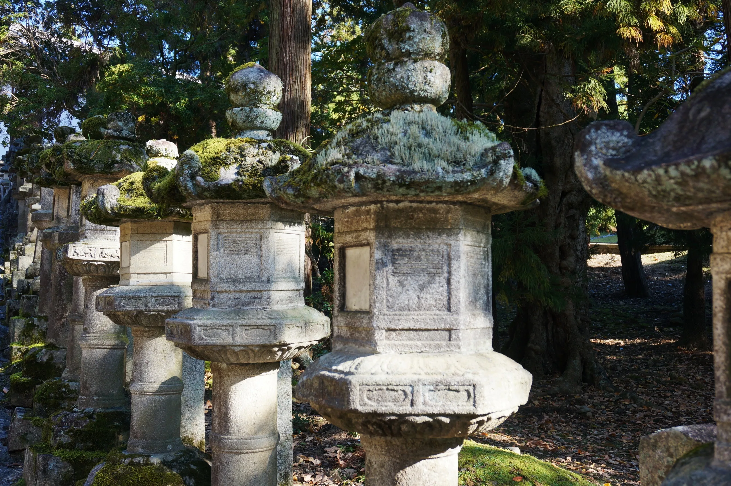 Japan, Himeji, 2019