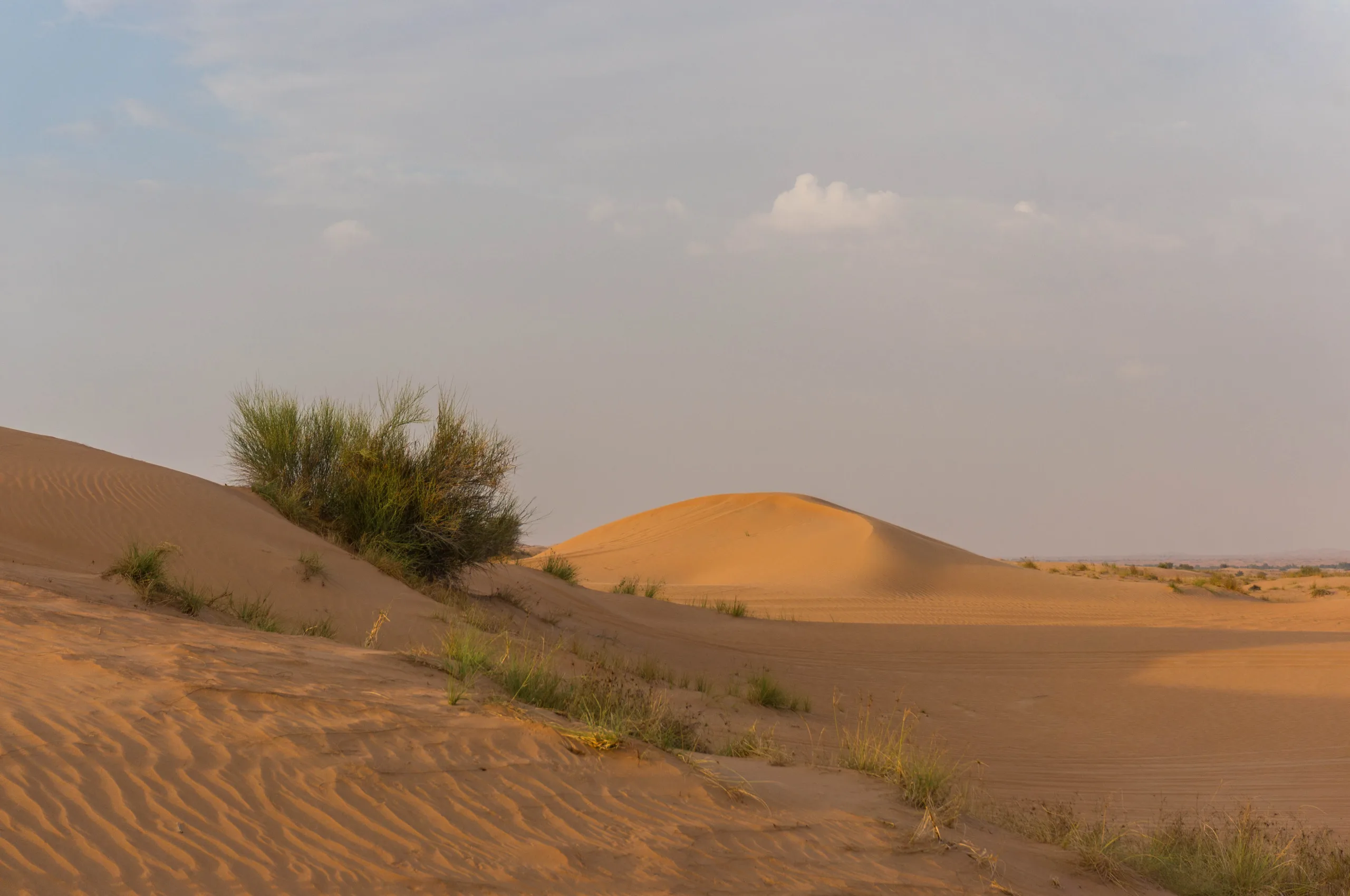 United Arab Emirates, Dubai, 2024