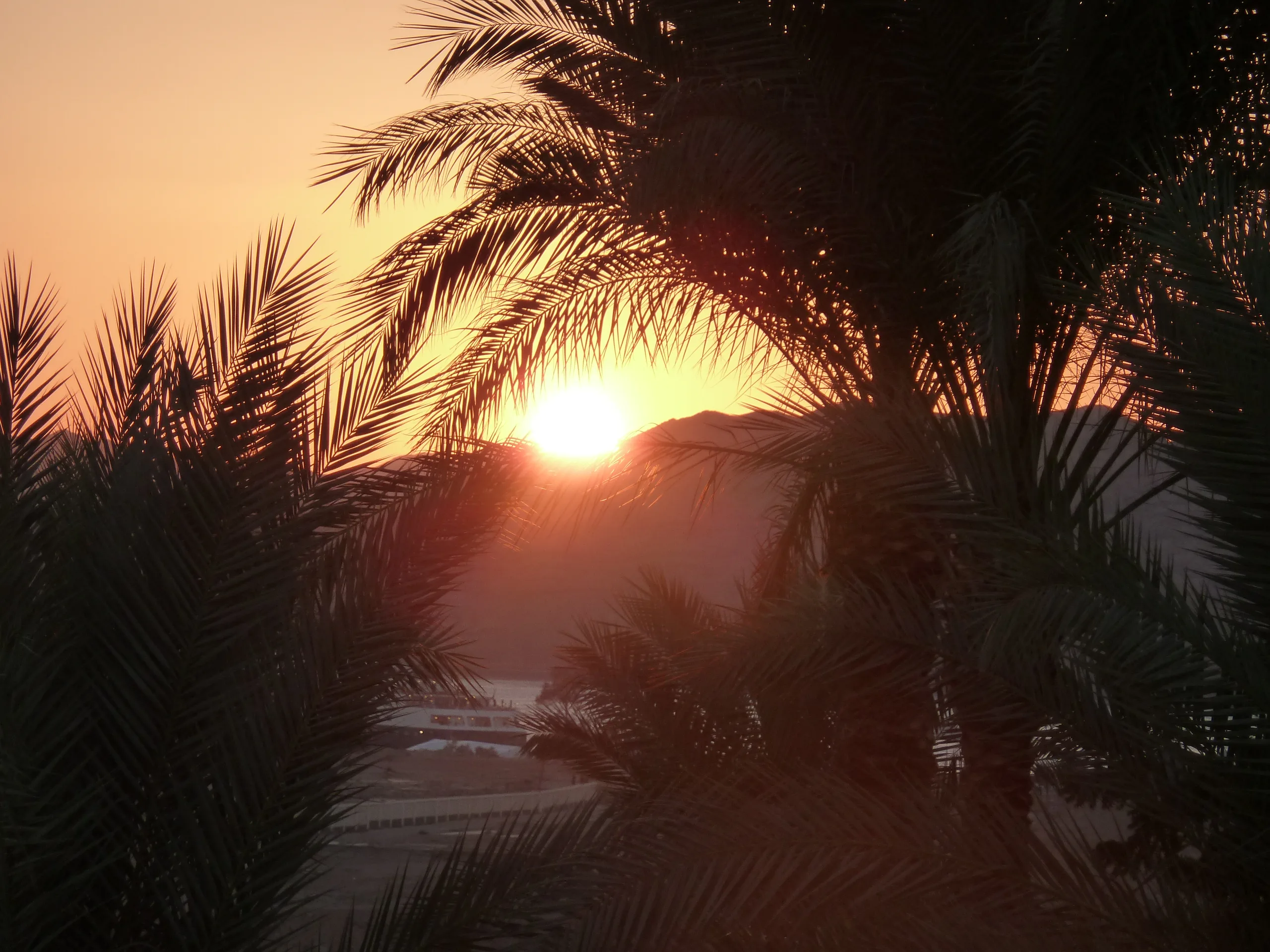 Egypt, Sharm El Sheikh, 2010