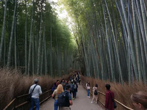Japan, Kyoto, 2019