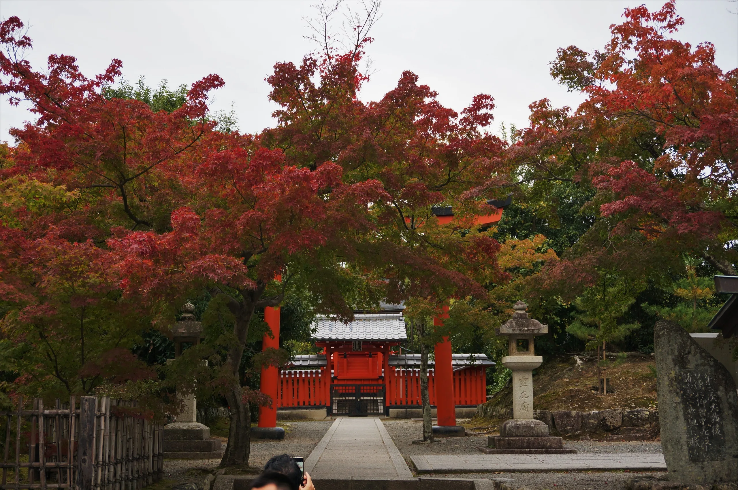 Japan, Kyoto, 2019