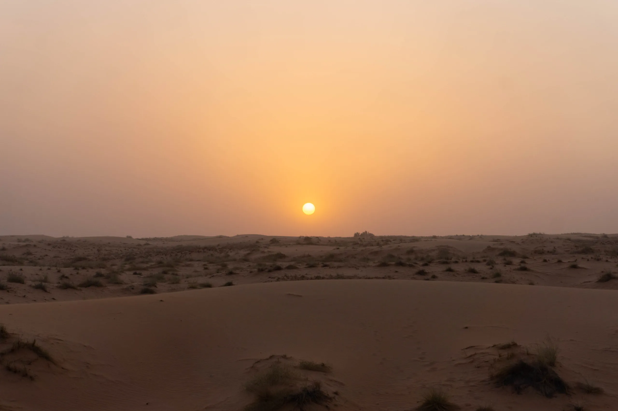 United Arab Emirates, Dubai, 2024