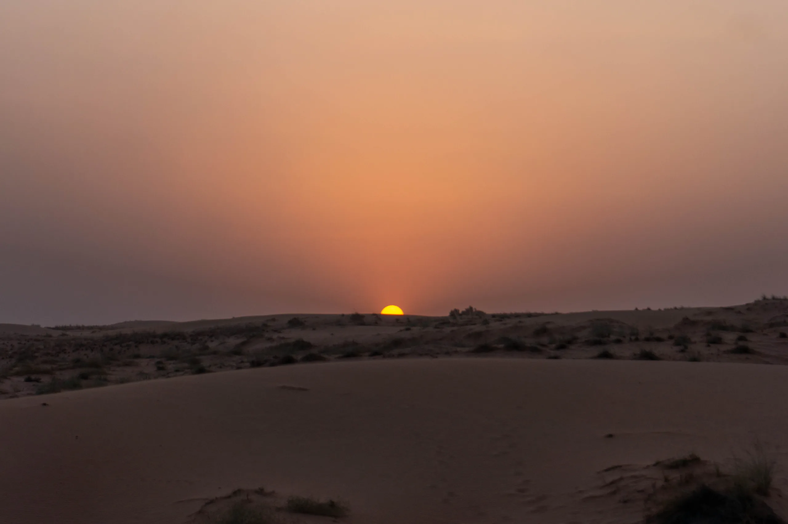 United Arab Emirates, Dubai, 2024