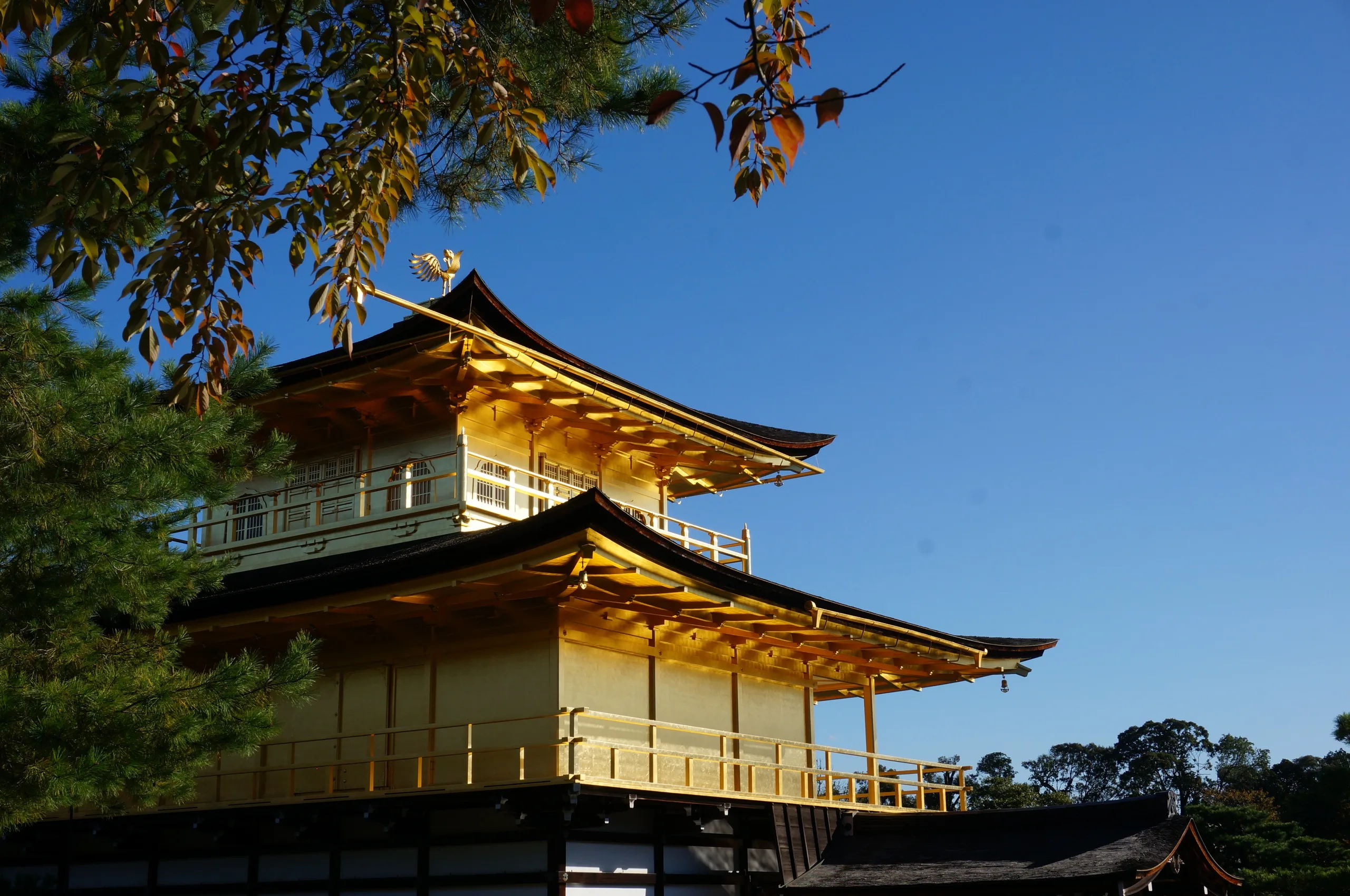 Japan, Kyoto, 2019
