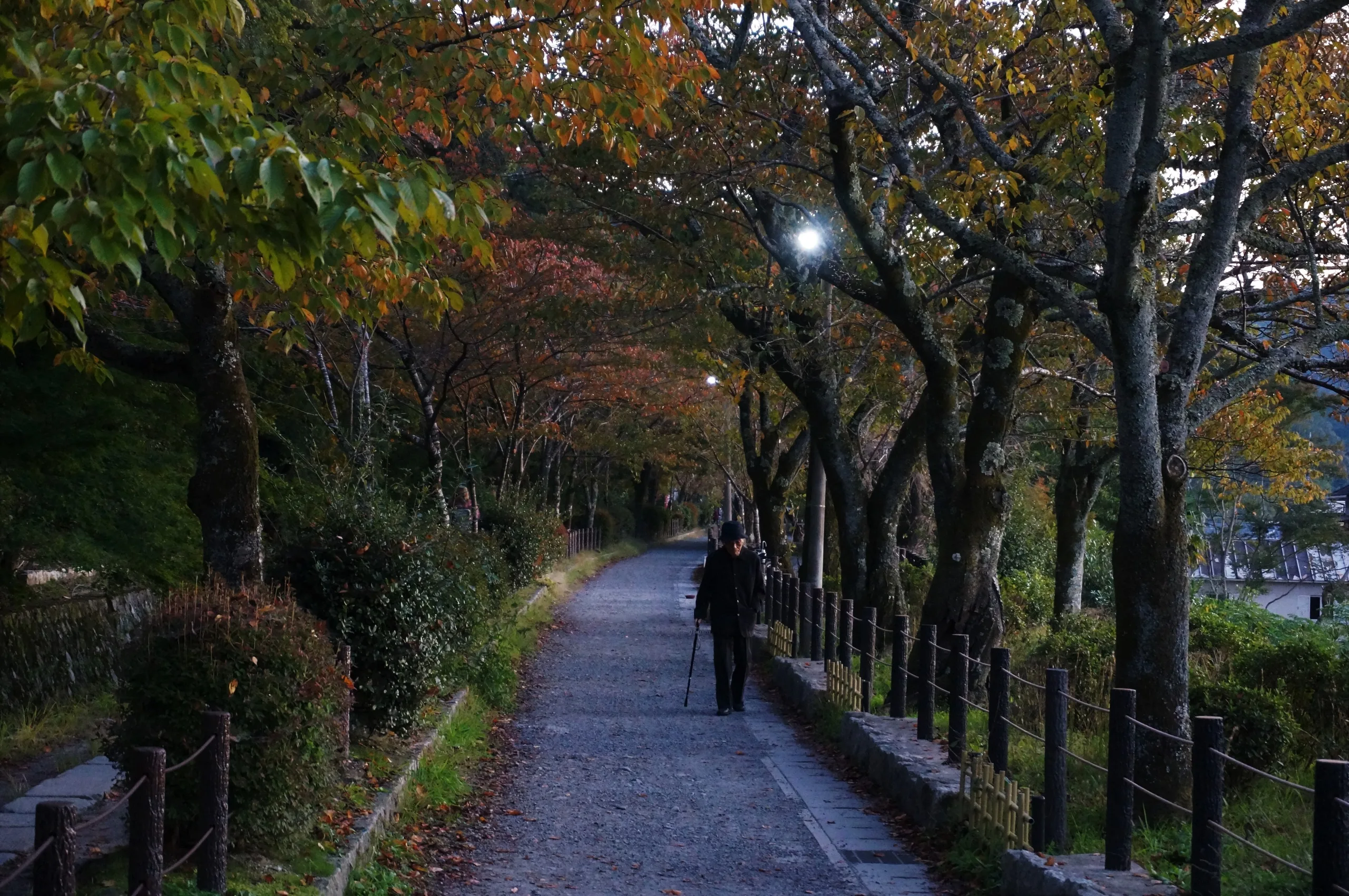 Japan, Kyoto, 2019