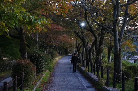 Japan, Kyoto, 2019