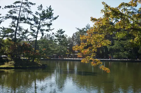 Japan, Osaka, 2019
